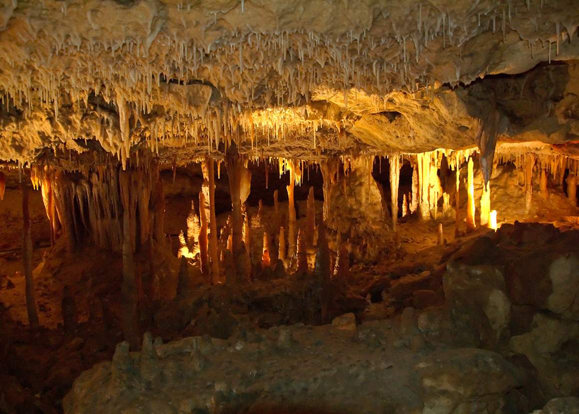 Naracoorte Caves